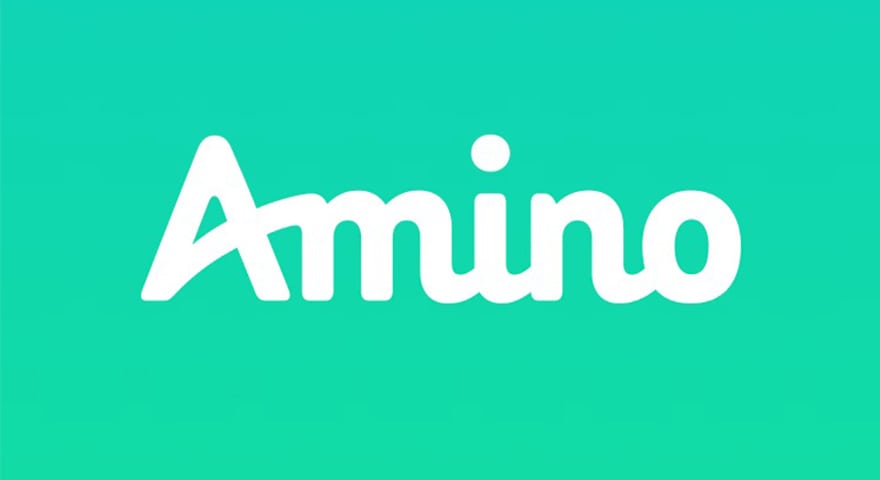 Amino App Guide