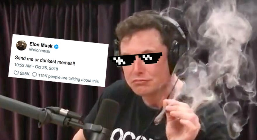 Elon Musk Tweets Asking For Dank Memes