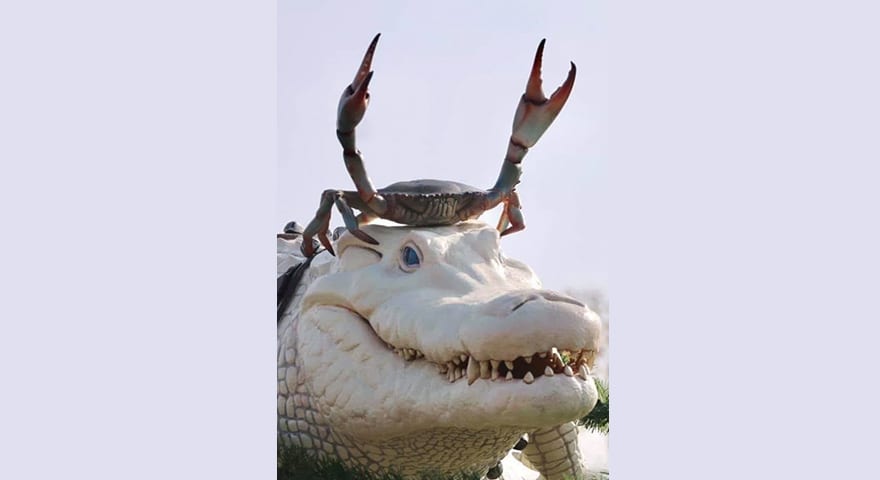 Crab & Albino Crocodile Memes