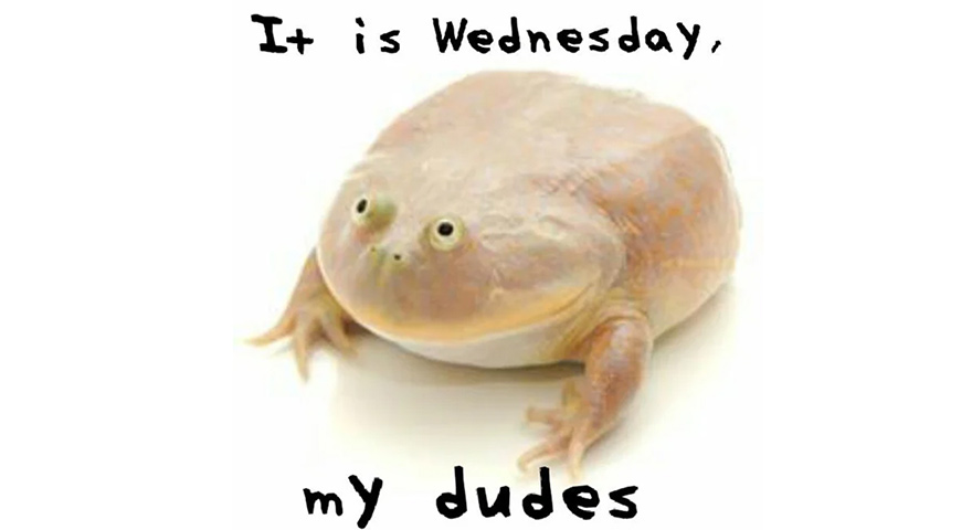 It Is Wednesday My Dudes Memes