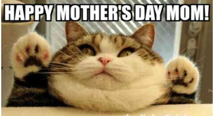 Mother’s Day 2019 Memes
