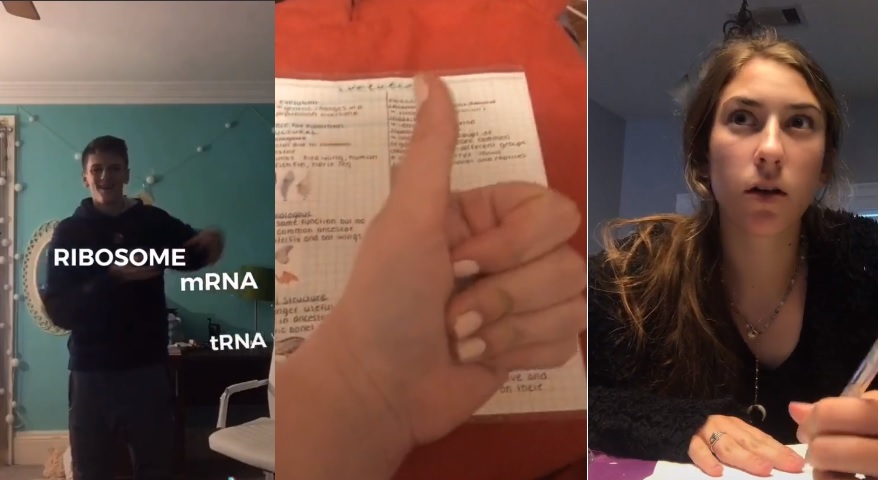 Students are #SurvivingFinals with TikTok Memes