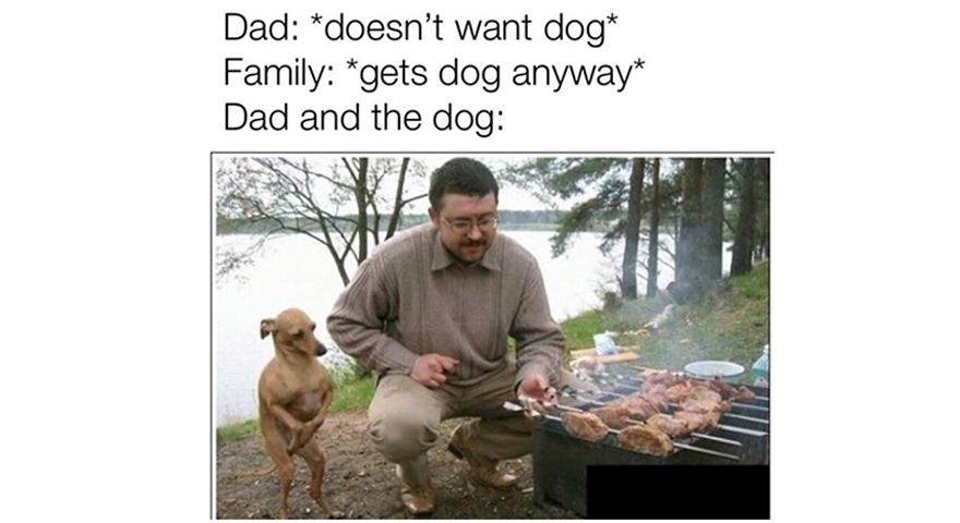 Dad And The Dog Memes Are A Cross-Platform Hit