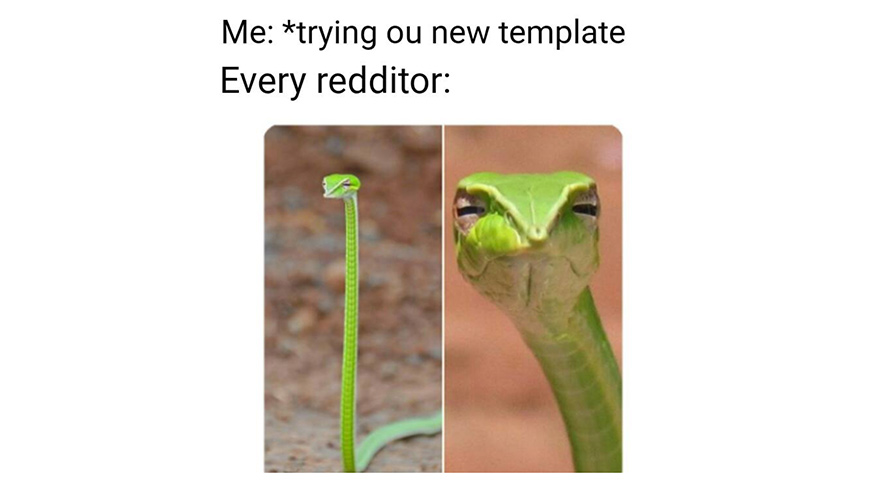 Suspicious Snake Memes Stayhipp