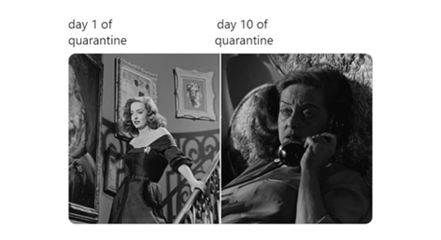 Quarantine Day X Memes