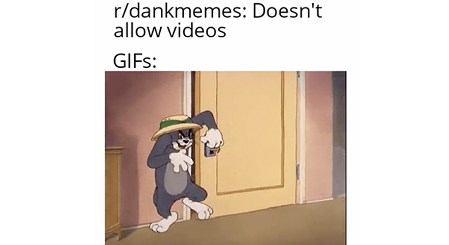 GIF Memes Surge On Dank Memes Subreddit