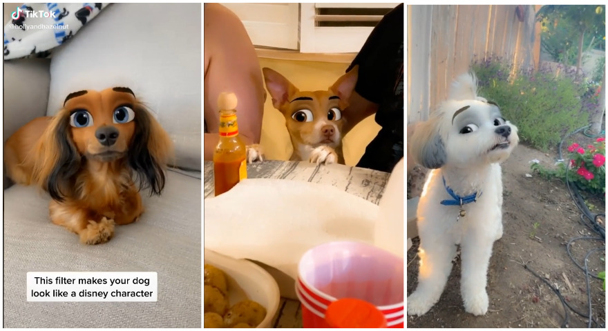 TikTok’s Disney Dog Challenge Turns Pups Into Disney Cartoons