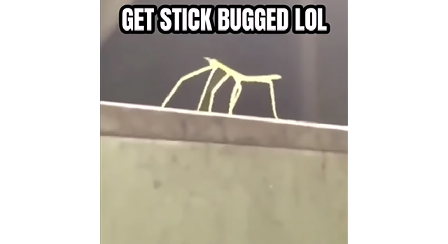 What Is Stick Bugging? – Get Stick Bugged LOL