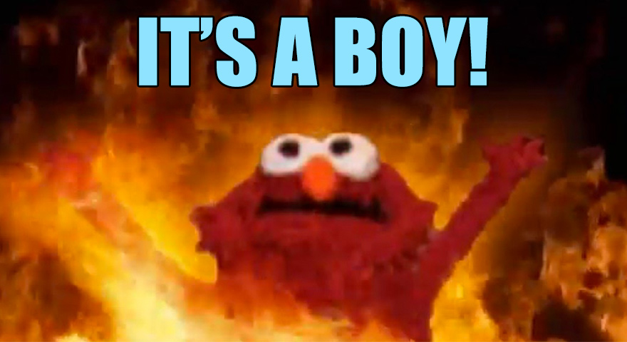 Gender Reveal Wildfire Memes