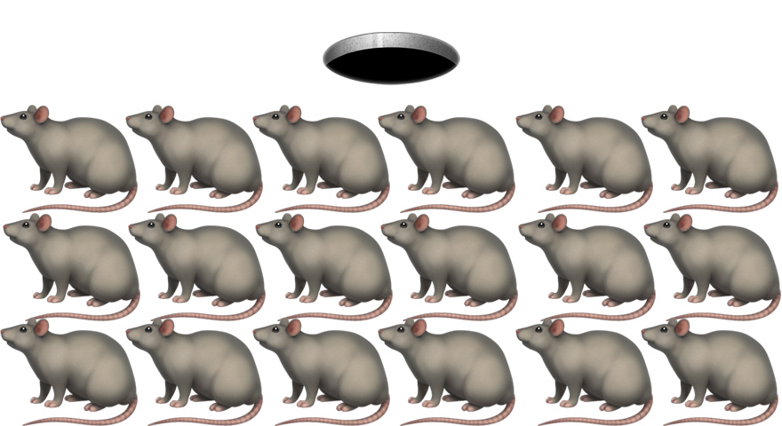 Sinkhole Full Of Rats Memes