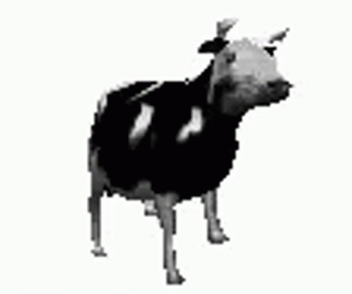 Dancing Polish Cow Memes