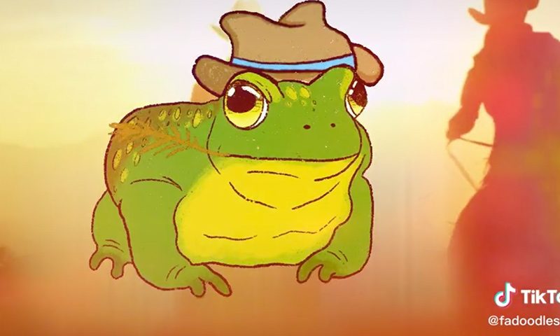 How Amphibians Conquered TikTok And What It Means